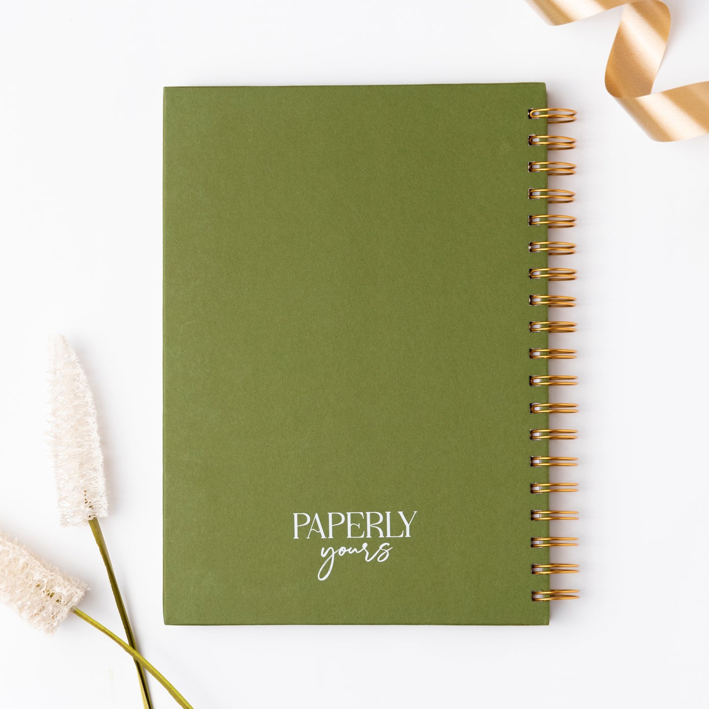 Study & Rejuvenate planner
