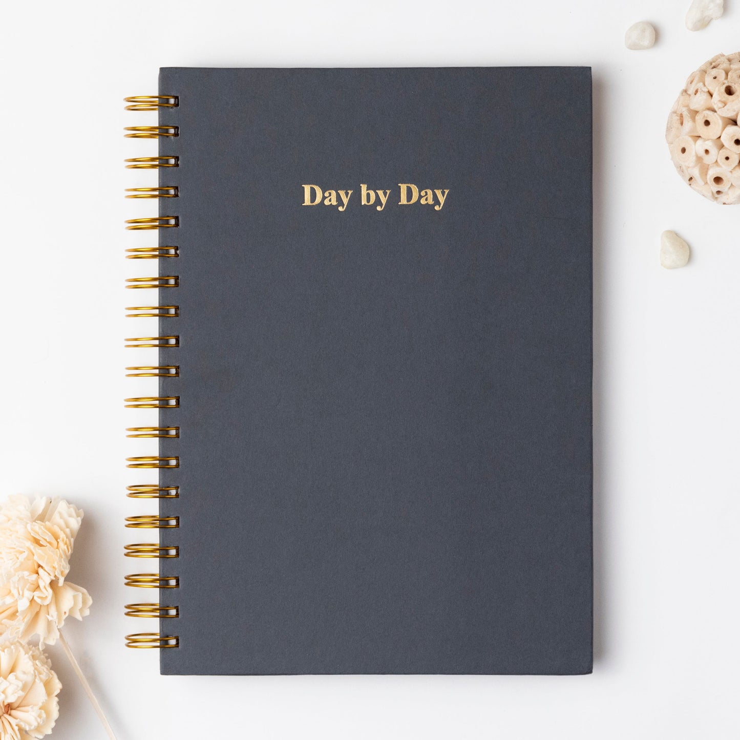 DAY BY DAY